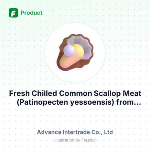 Fresh Chilled Common Scallop Meat (Patinopecten yessoensis) – summary card, no photo uploaded yet