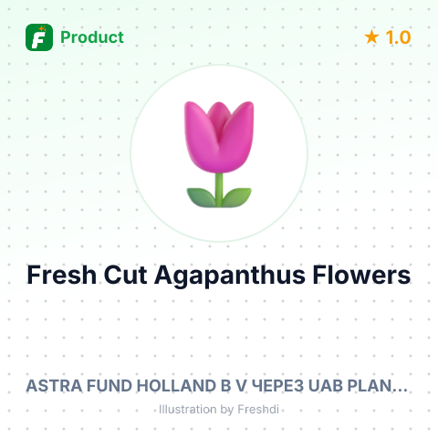 Fresh Cut Agapanthus Flowers – product summary card, no photo uploaded yet