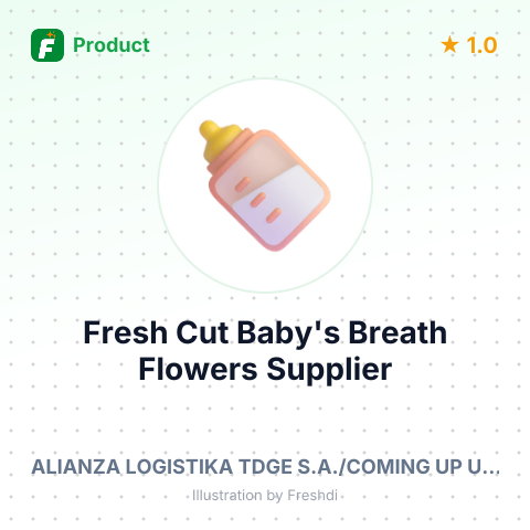 Fresh Cut Baby's Breath (Gypsophila) Flowers – summary card, no photo uploaded yet
