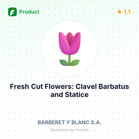 Fresh Cut Flowers: Clavel Barbatus and Statice – summary card, no photo uploaded yet