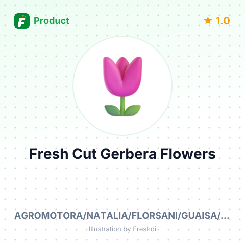 Fresh Cut Gerbera Flowers – summary card, no photo uploaded yet