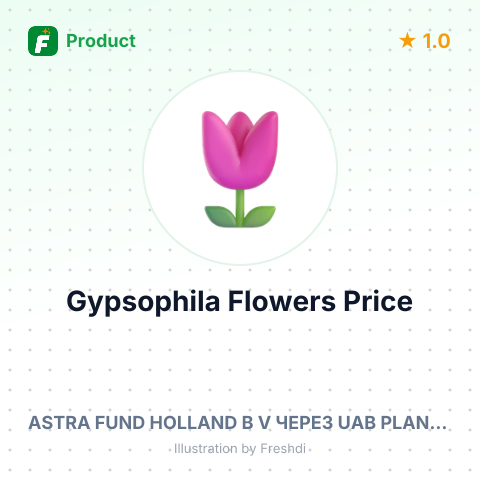 Fresh Cut Gypsophila Flowers – summary card, no photo uploaded yet