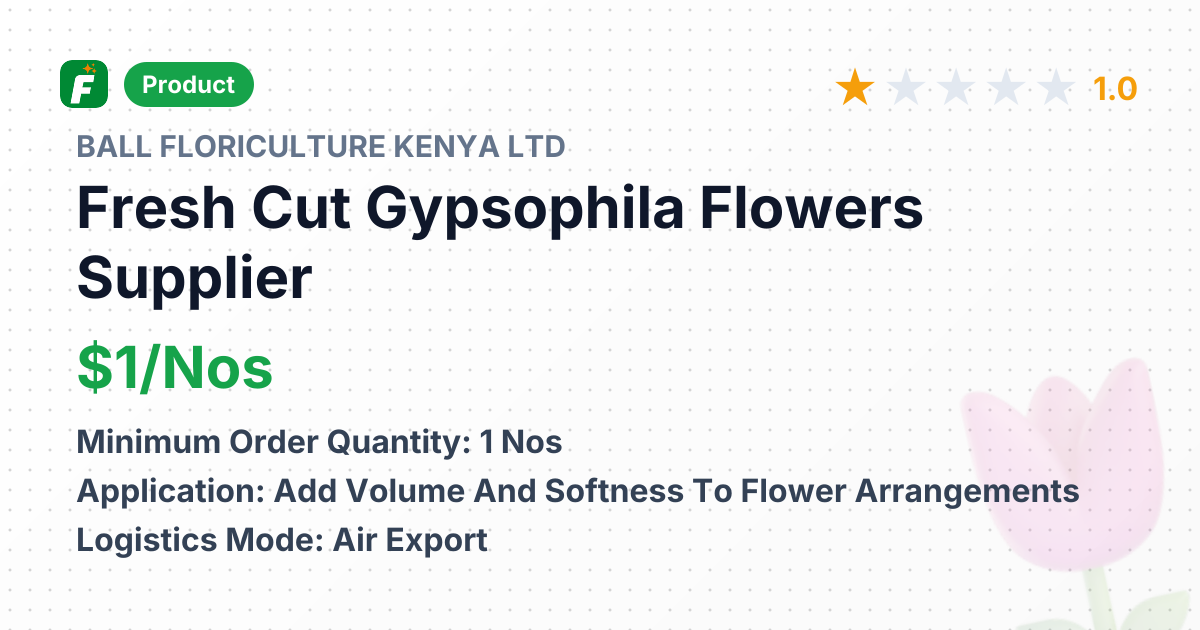 Fresh Cut Gypsophila Flowers – product summary card, no photo uploaded yet