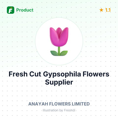 Fresh Cut Gypsophila Flowers – summary card, no photo uploaded yet