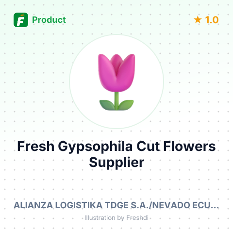 Fresh Gypsophila Cut Flowers – summary card, no photo uploaded yet