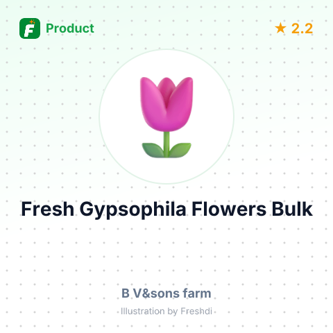 Fresh Gypsophila Flowers – summary card, no photo uploaded yet