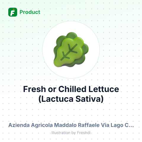 Fresh or Chilled Lettuce (Lactuca Sativa) – summary card, no photo uploaded yet