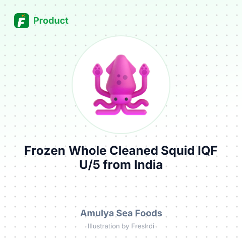 Frozen Whole Cleaned Squid IQF U/5 – summary card, no photo uploaded yet