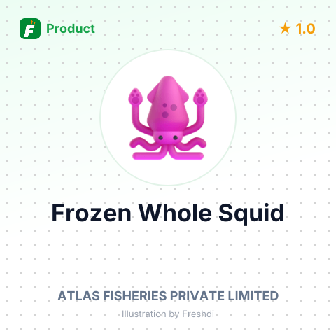 Frozen Whole Squid – summary card, no photo uploaded yet
