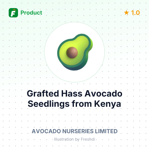 Grafted Hass Avocado Seedlings – summary card, no photo uploaded yet