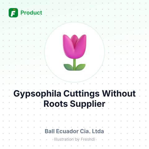 Gypsophila Cuttings Without Roots – summary card, no photo uploaded yet