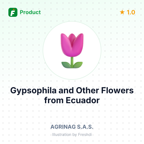 Gypsophila and Other Flowers – summary card, no photo uploaded yet
