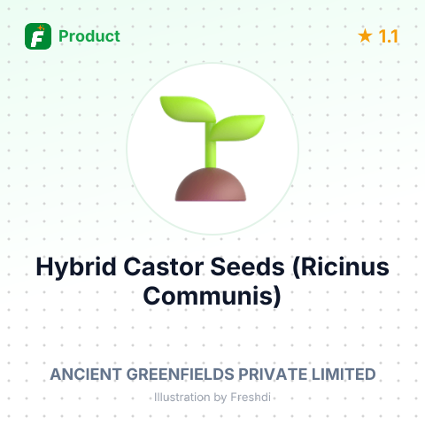 Hybrid Castor Seeds (Ricinus Communis) – summary card, no photo uploaded yet
