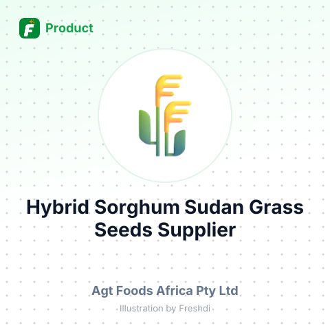Hybrid Sorghum Sudan Grass Seeds – summary card, no photo uploaded yet