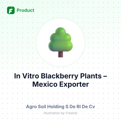 In Vitro Blackberry Plants – summary card, no photo uploaded yet