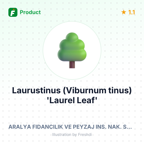 Laurustinus (Viburnum tinus) 'Laurel Leaf' – summary card, no photo uploaded yet