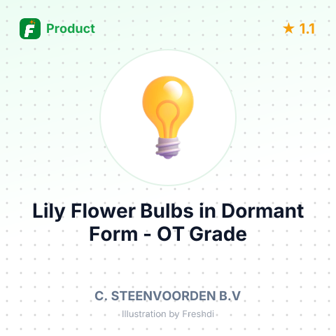 Lily Flower Bulbs in Dormant Form (Lilium) - OT Grade – summary card, no photo uploaded yet