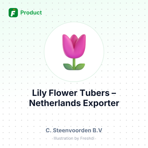 Lily Flower Tubers (Lilium) – summary card, no photo uploaded yet