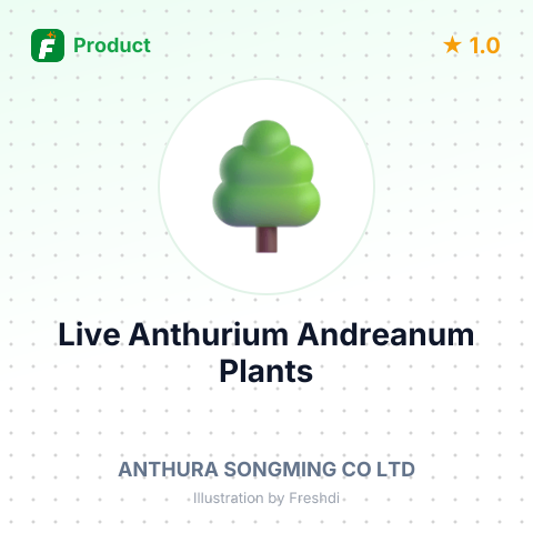 Live Anthurium Andreanum Plants – summary card, no photo uploaded yet