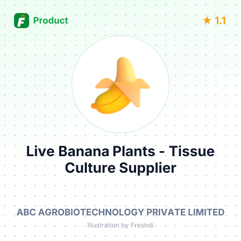 Live Banana Plants - Tissue Culture – summary card, no photo uploaded yet