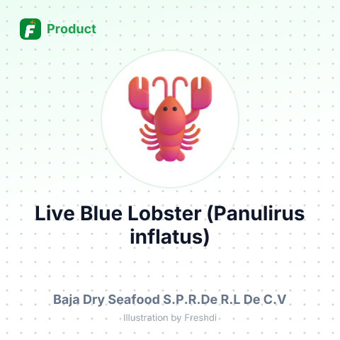 Live Blue Lobster (Panulirus inflatus) – summary card, no photo uploaded yet