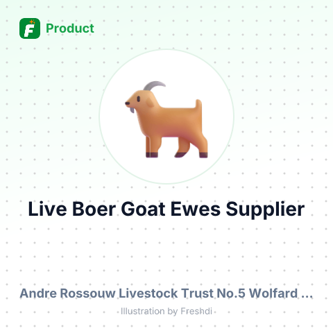 Live Boer Goat Ewes – summary card, no photo uploaded yet