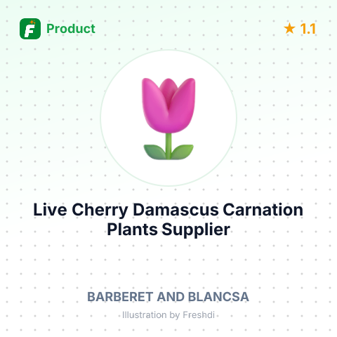 Live Cherry Damascus Carnation Plants – summary card, no photo uploaded yet