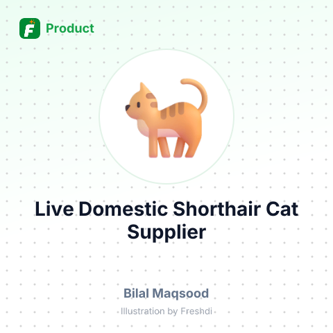 Live Domestic Shorthair Cat – summary card, no photo uploaded yet