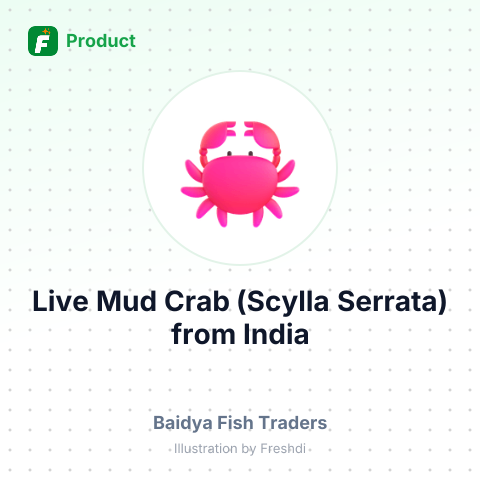 Live Mud Crab (Scylla Serrata) – summary card, no photo uploaded yet