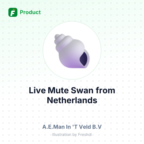 Live Mute Swan – summary card, no photo uploaded yet
