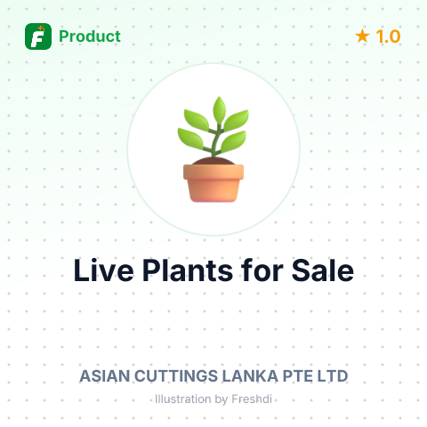Live Plants - Zamia spp. – summary card, no photo uploaded yet