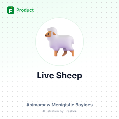 Live Sheep – summary card, no photo uploaded yet