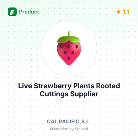 Live Strawberry Plants (Fragaria ananassa) Rooted Cuttings – summary card, no photo uploaded yet