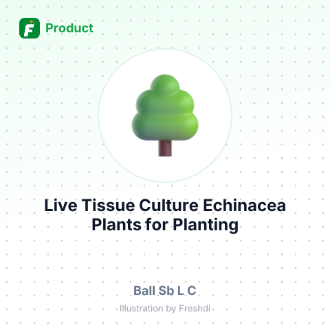 Live Tissue Culture Echinacea Plants for Planting – summary card, no photo uploaded yet
