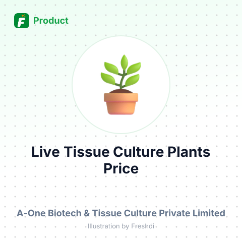 Live Tissue Culture Plants - Echinacea Purpurea – summary card, no photo uploaded yet