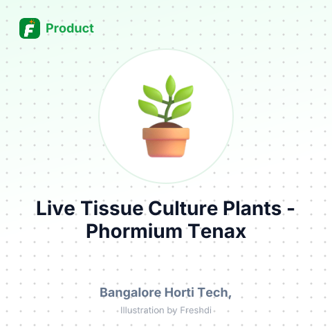 Live Tissue Culture Plants - Phormium Tenax – summary card, no photo uploaded yet