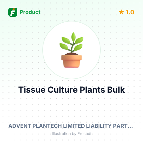 Live Tissue Culture Plants - Zantedeschia aethiopica – summary card, no photo uploaded yet