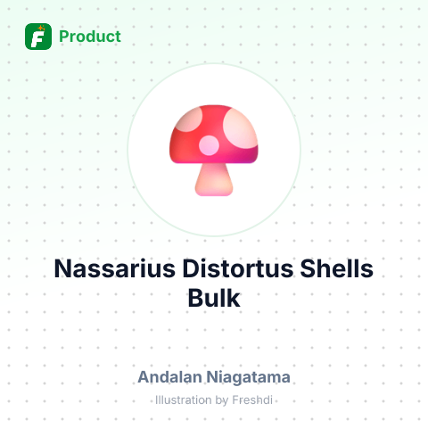 Nassarius Distortus Shells – summary card, no photo uploaded yet