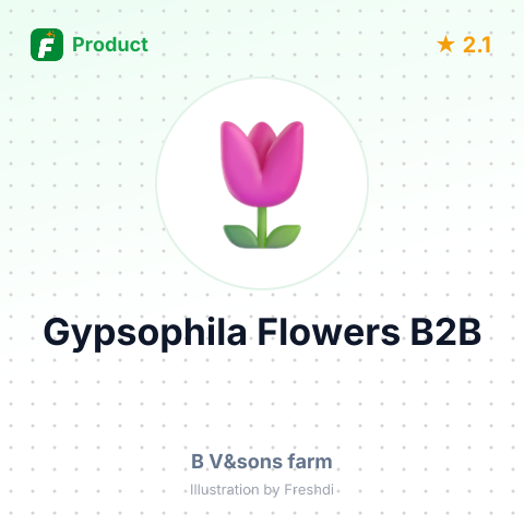 Natural Gypsophila Flowers – summary card, no photo uploaded yet