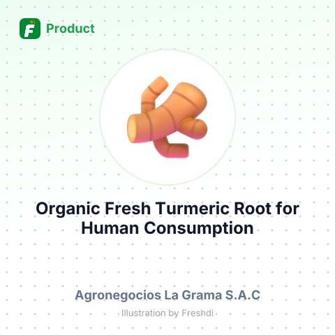 Organic Fresh Turmeric Root for Human Consumption – summary card, no photo uploaded yet
