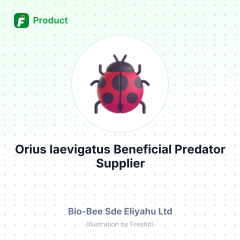 Orius laevigatus Beneficial Predator – summary card, no photo uploaded yet