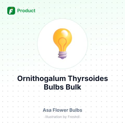 Ornithogalum Thyrsoides White Milkyway Cut Bulbs – summary card, no photo uploaded yet