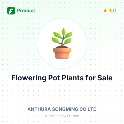 Phalaenopsis Flowering Pot Plants – summary card, no photo uploaded yet