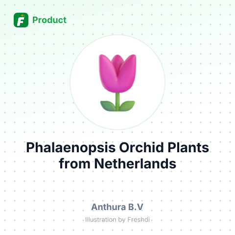 Phalaenopsis Orchid Plants – summary card, no photo uploaded yet