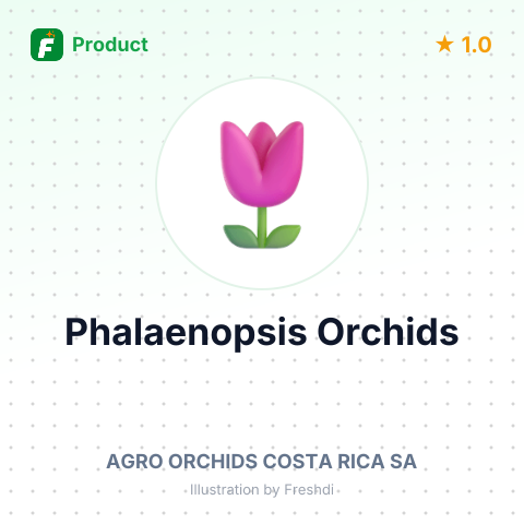 Phalaenopsis Orchids – summary card, no photo uploaded yet