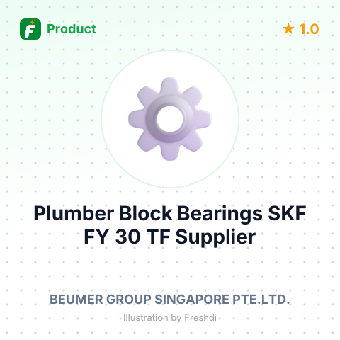 Plumber Block Bearings SKF FY 30 TF – summary card, no photo uploaded yet