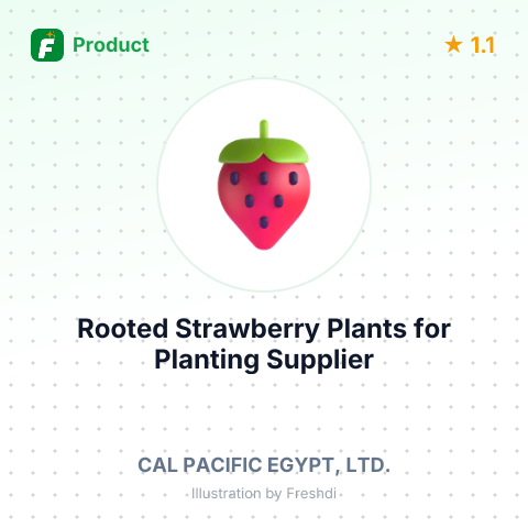 Rooted Strawberry Plants for Planting – summary card, no photo uploaded yet