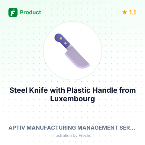 Steel Knife with Plastic Handle – summary card, no photo uploaded yet