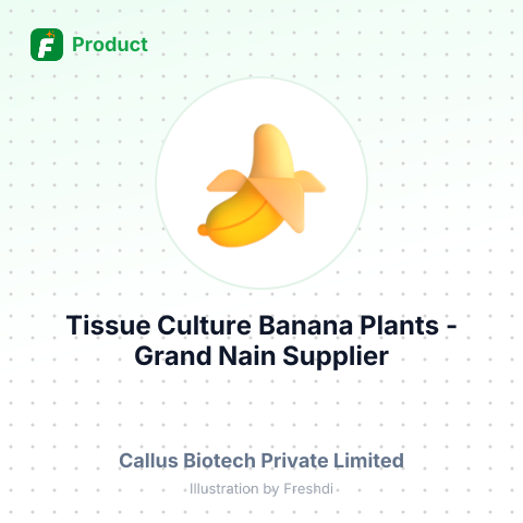 Tissue Culture Banana Plants - Grand Nain – summary card, no photo uploaded yet