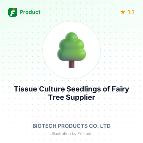 Tissue Culture Seedlings of Fairy Tree – summary card, no photo uploaded yet